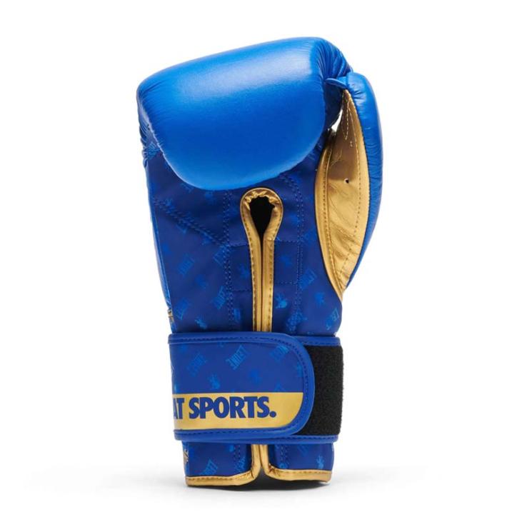 Leone DNA Boxhandschuhe Blau